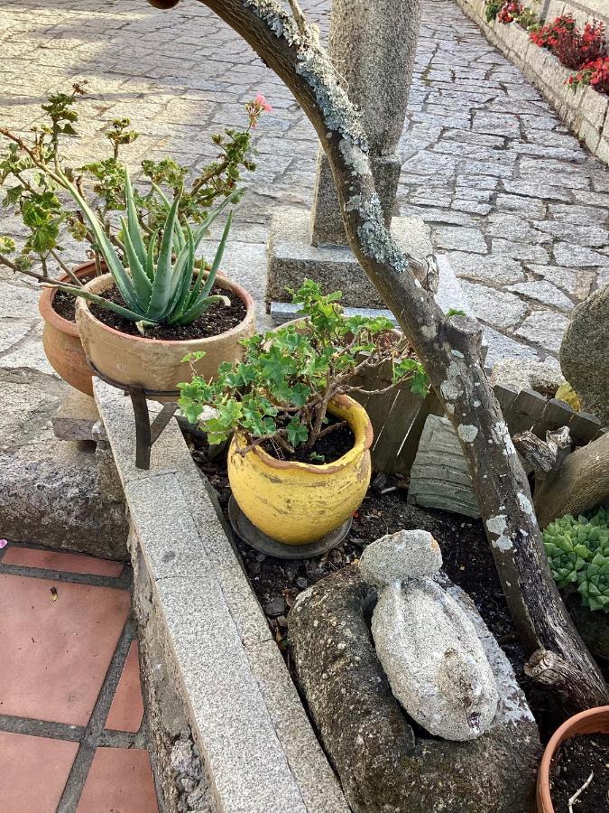 Atico Con Terraza Διαμέρισμα O Grove Εξωτερικό φωτογραφία