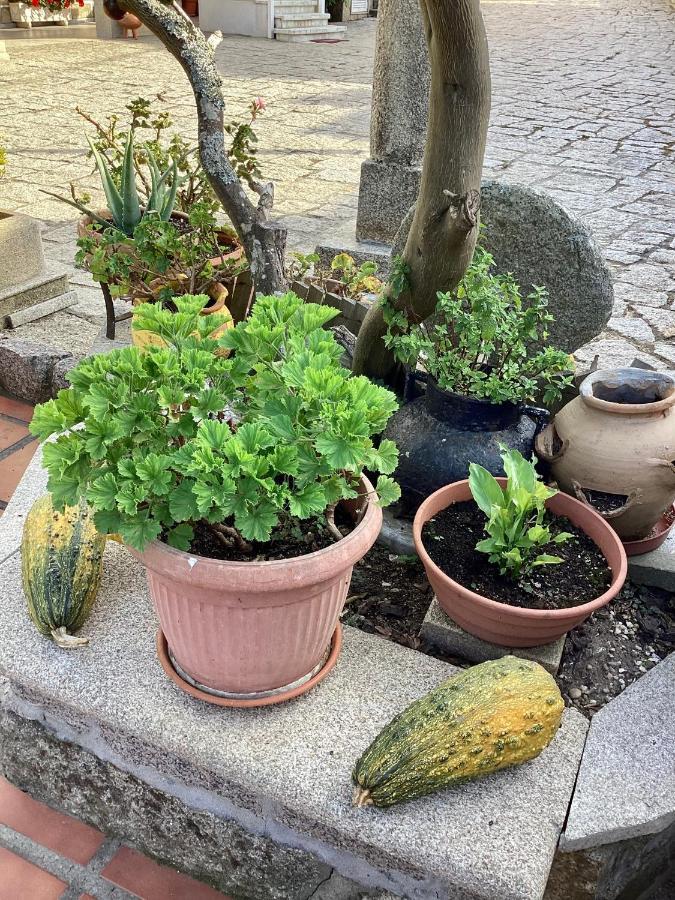 Atico Con Terraza Διαμέρισμα O Grove Εξωτερικό φωτογραφία